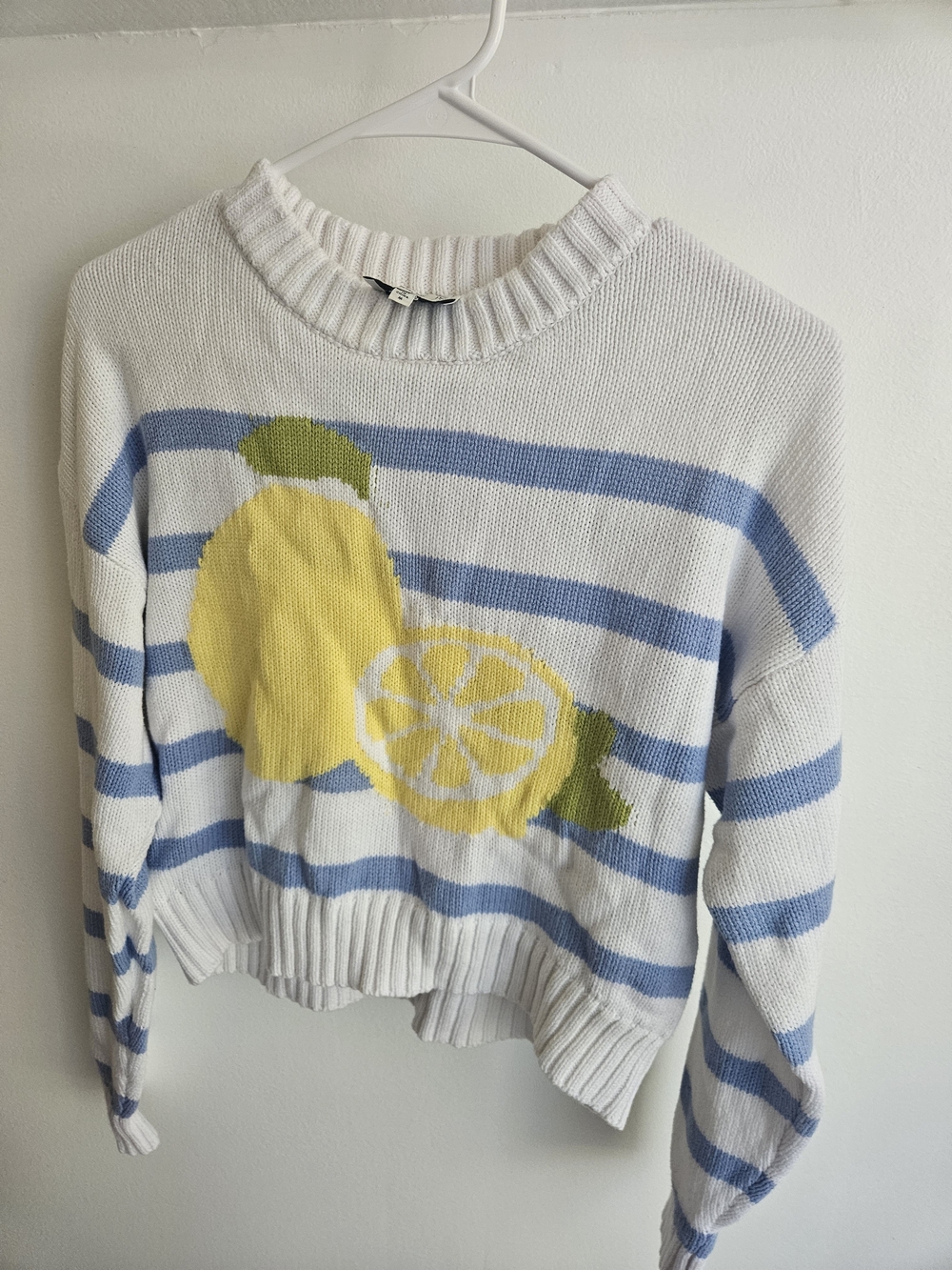 Freshman White & Light Blue Striped Crewneck Sweater with Yellow Lemon Motif